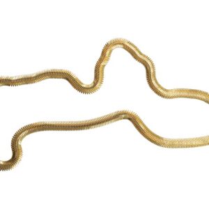 Fishbone Chain